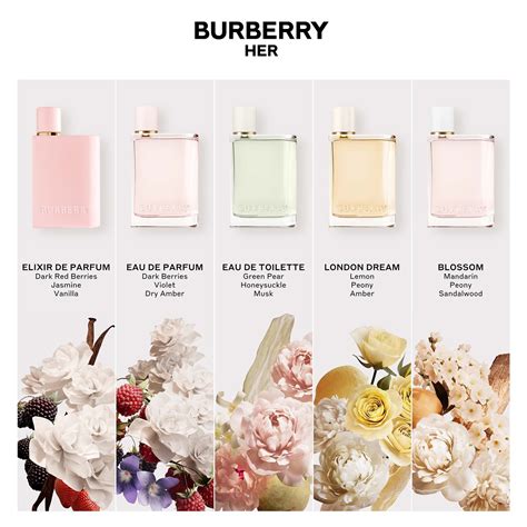 burberry london dream dupe|burberry her london dream 30ml.